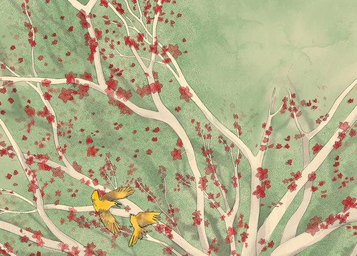 Tree branches