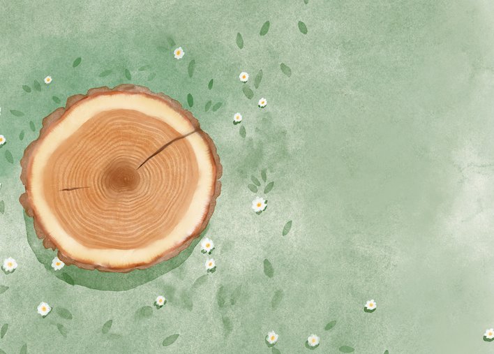 Tree stump