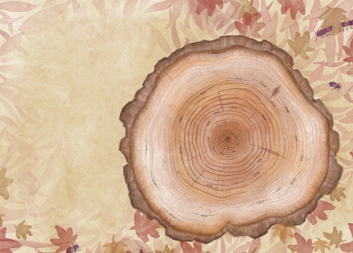 Tree rings