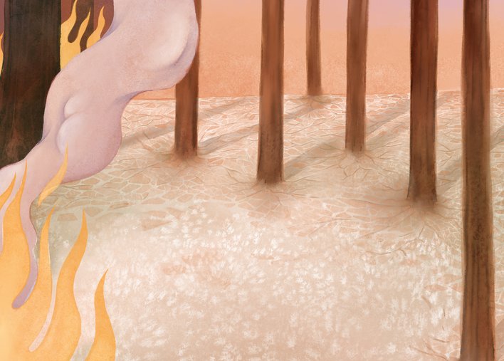 Dry land