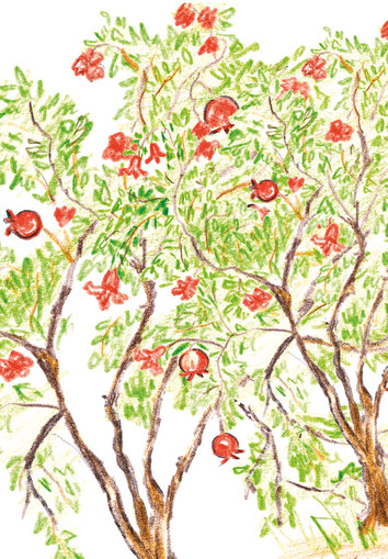 Tree with pomegranates