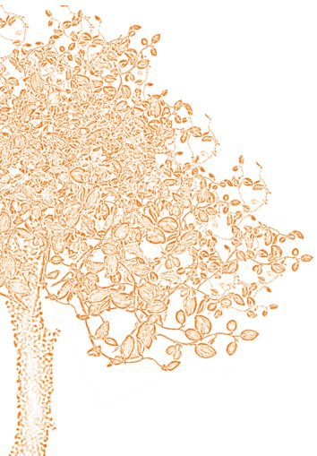A tree with orange leaves