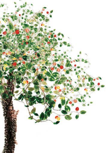 A ber tree