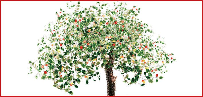 A large tree