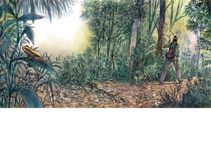 Ajay walking through the forest with an antenna in his hand and a frog in the foreground