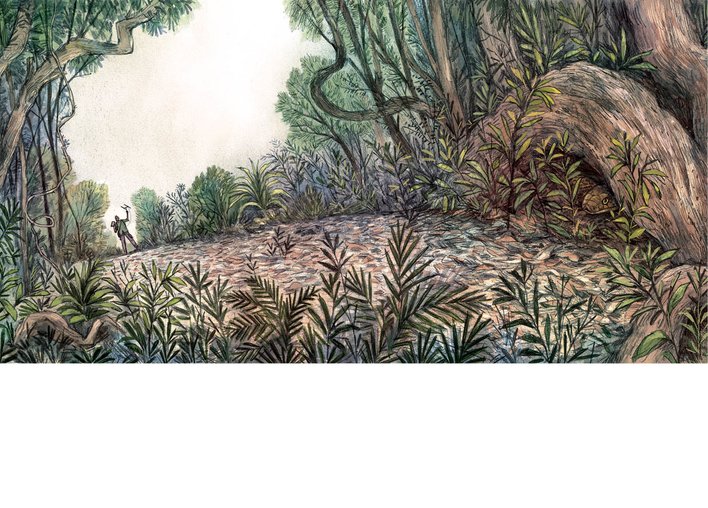 A longshot of Ajay walking through the forest
