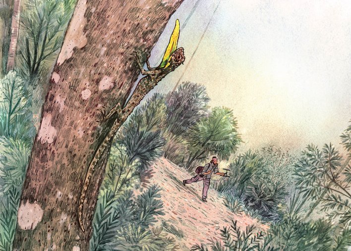 Ajay walking through the forest with an antenna in his hand and a draco in the foreground