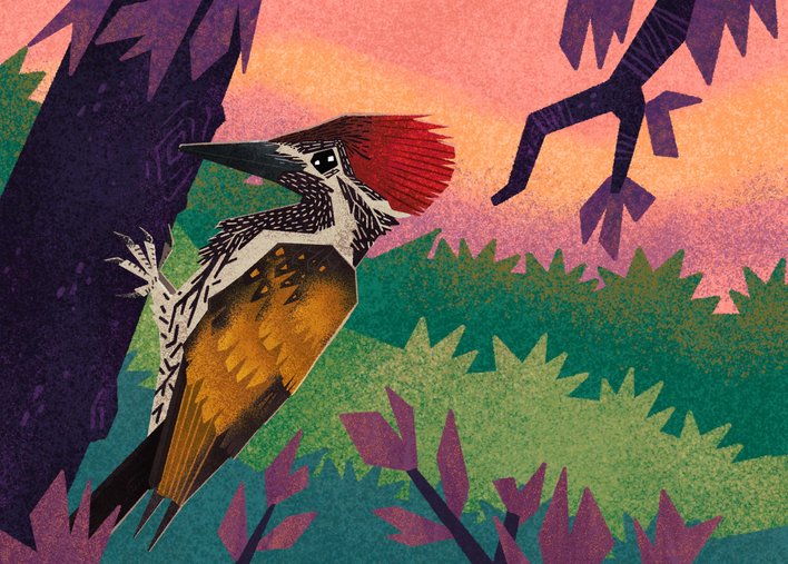 Woodpecker drilling a hole in a tree