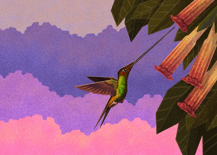 Hummingbird flying towards a flower in search of nectar