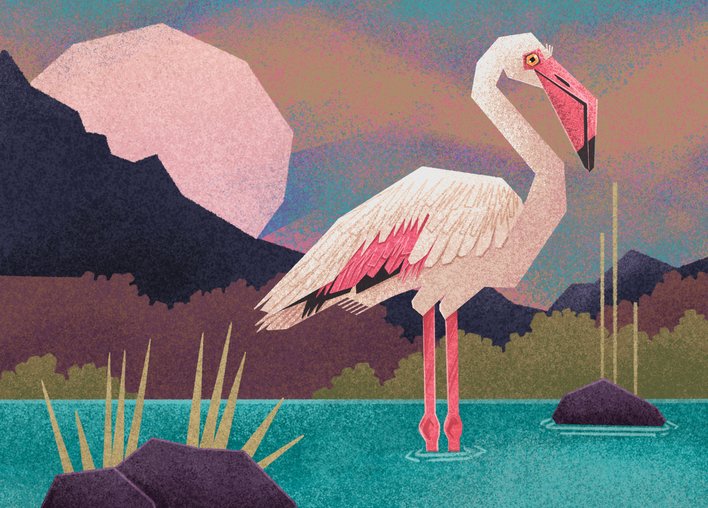 Flamingo stands in muddy water
