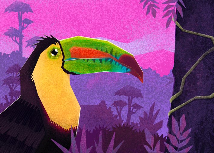 Toucan shows its colourful beak
