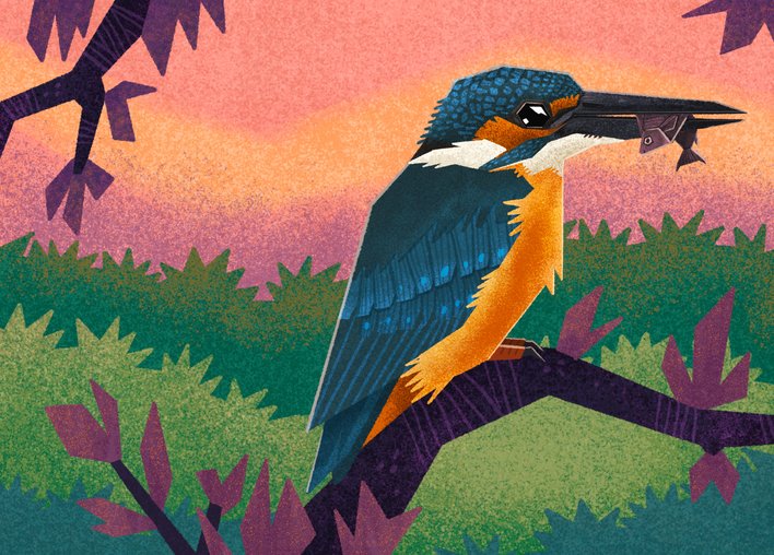 Kingfisher perches on a tree with a fish in its beak