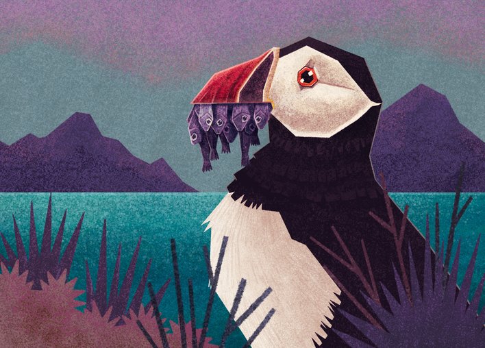 Puffin using its beak to store fish