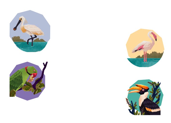 Spoonbill and Flamingo and Parrot and Hornbill display their beaks