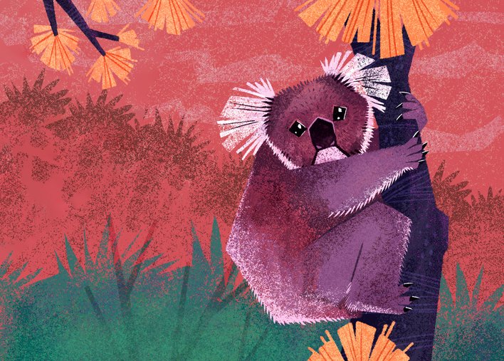 A Koala hugs a tree