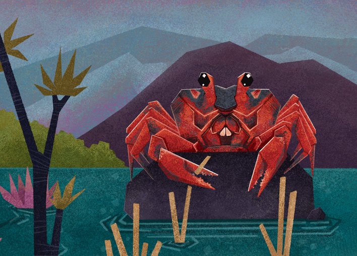 Crab perched on a rock