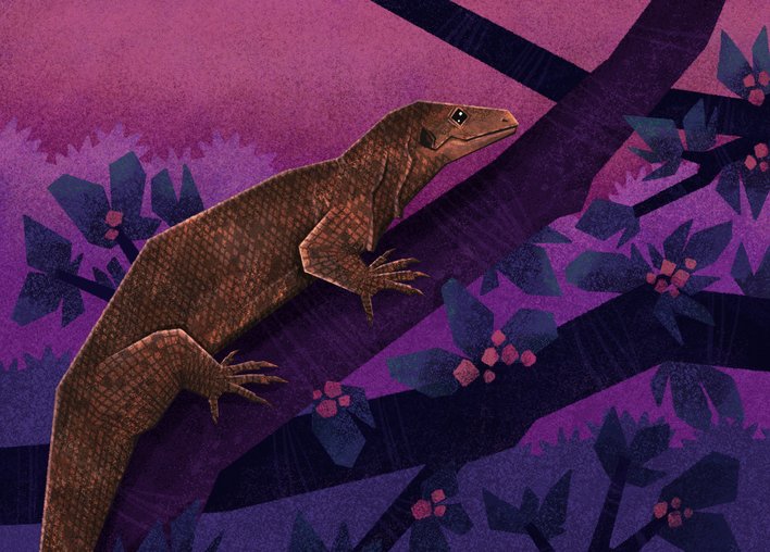 Monitor Lizard climbing a tree