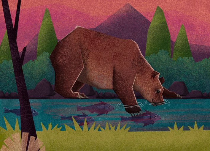 Kodiak Brown Bear goes fishing