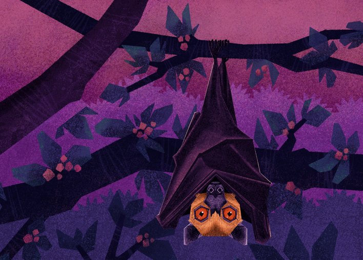 Bat hangs upside down on a flowering tree