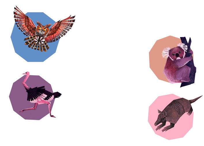 Owl and Koala and Ostrich and Armadillo display their claws