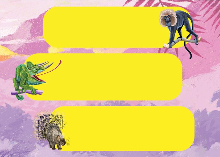 A Jackson's chameleon, an Indian crested porcupine and a Nilgiri langur,
