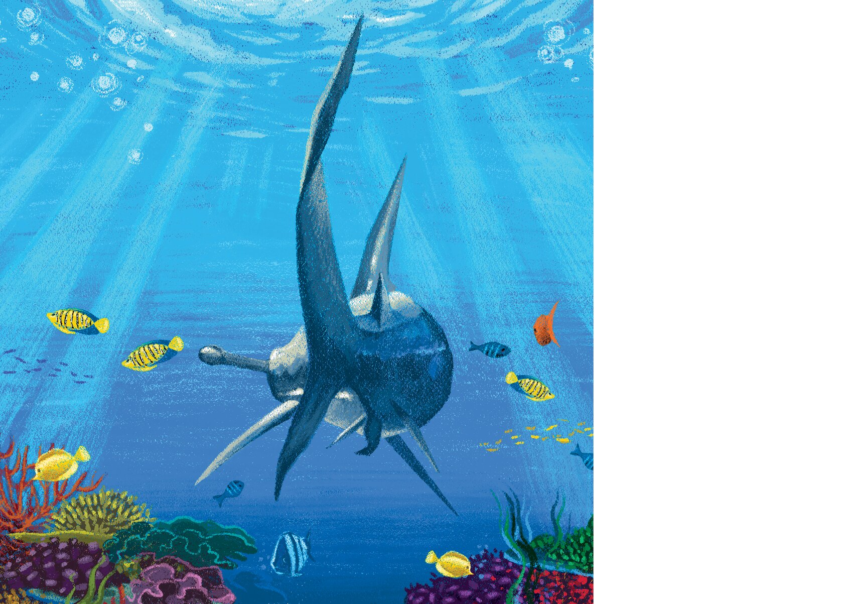 The tail of a great hammerhead shark