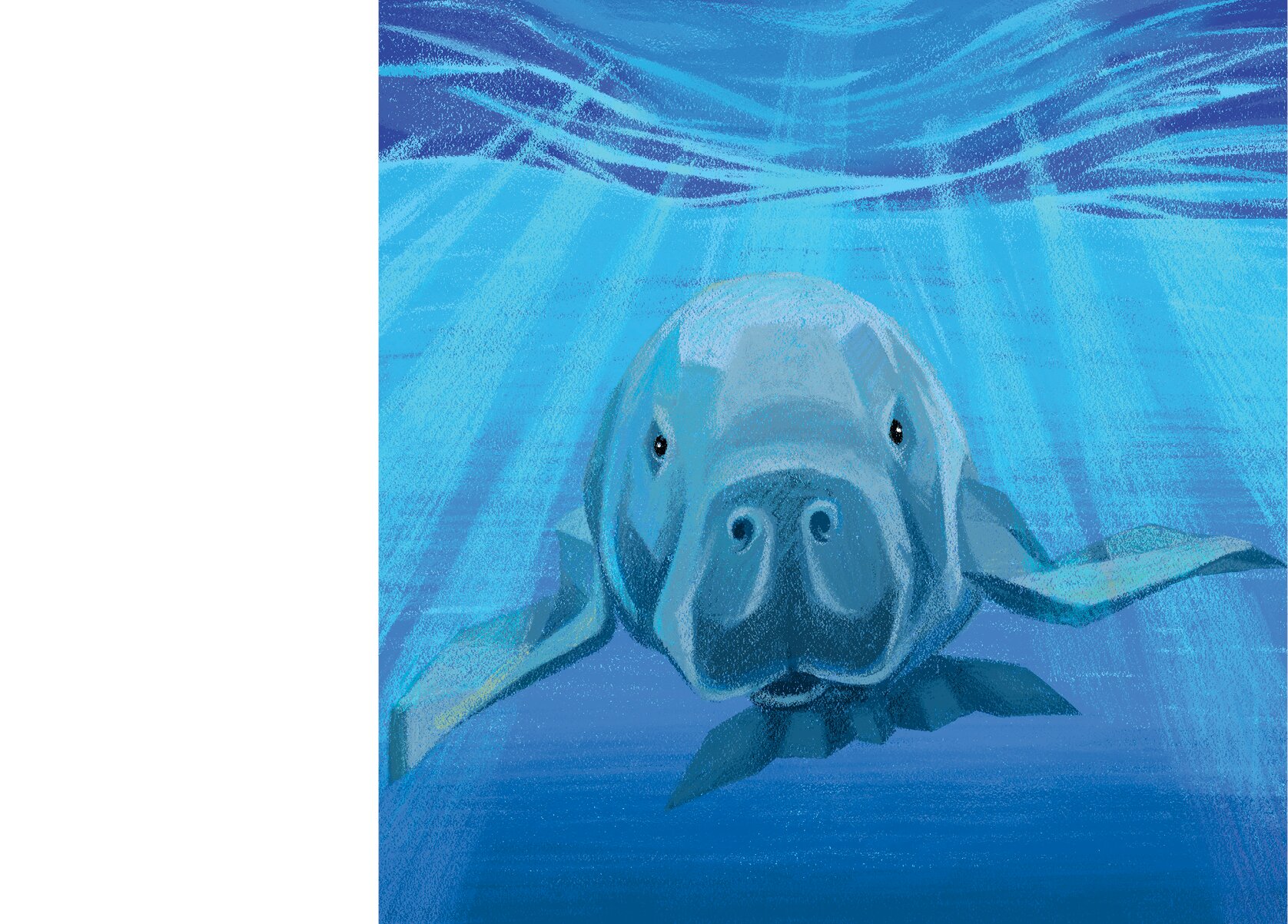 The snout of a dugong