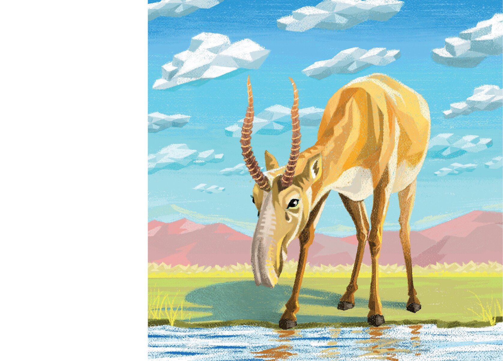 The snout of a Saiga antelope