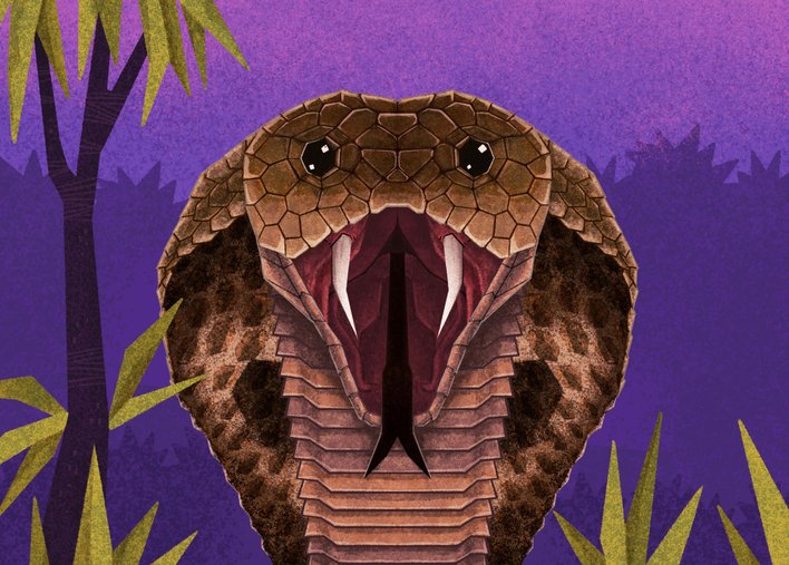 A Snake showing its fangs