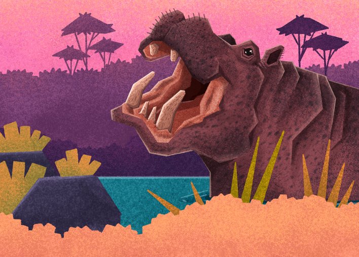 Hippo bares her teeth