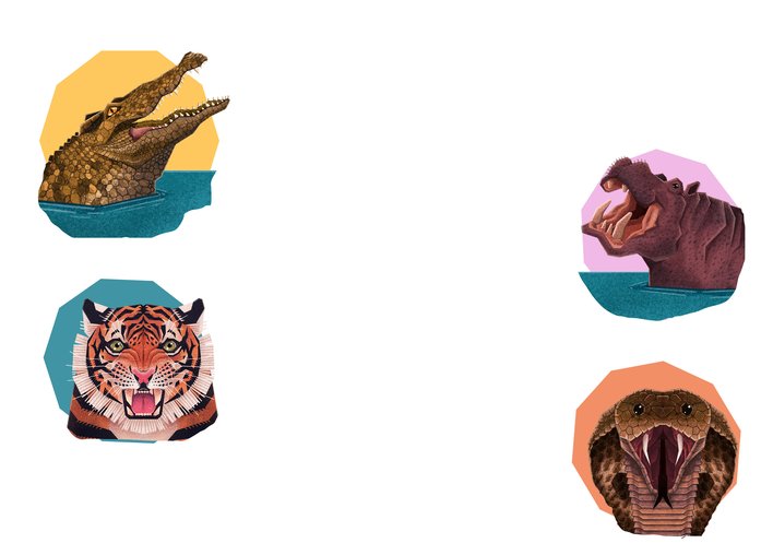 A Crocodile and a Hippo and a Tiger and a Snake
