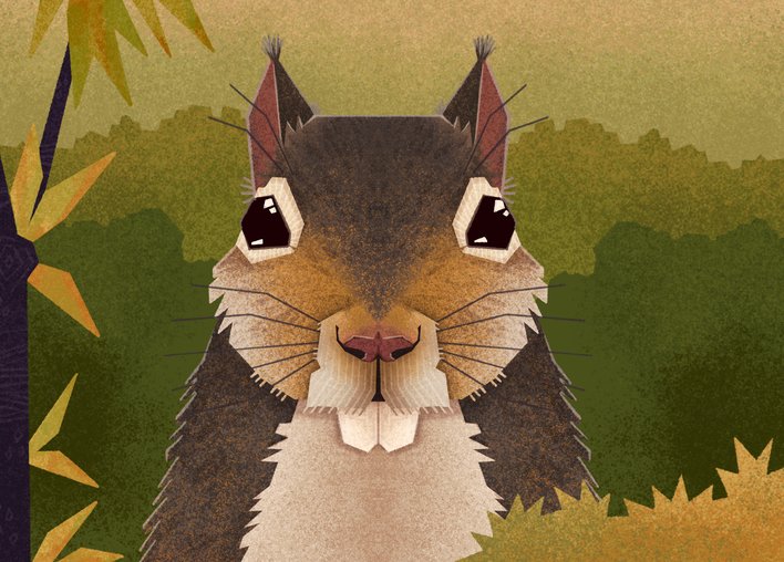 Squirrel with teeth that won't stop growing