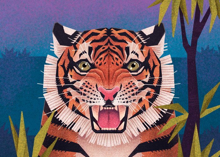 A Tiger growling