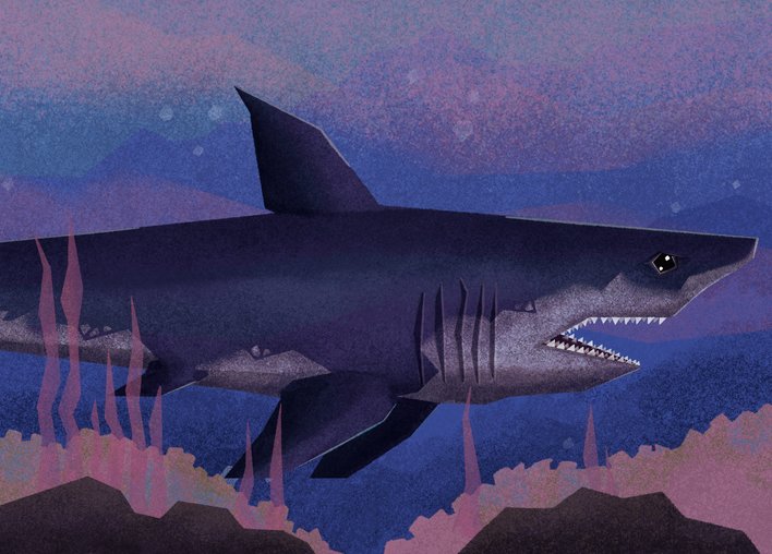Shark makes its way across the ocean