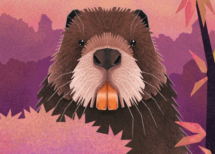 Beaver with orange teeth