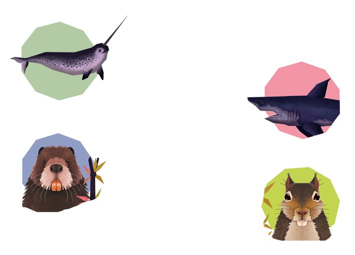 A Narwhal and a Shark and a Beaver and a Squirrel