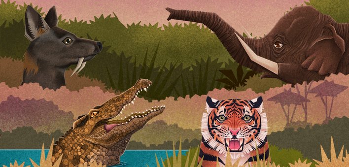 Crocodile and Tiger and Musk Deer and Elephant bare their teeth