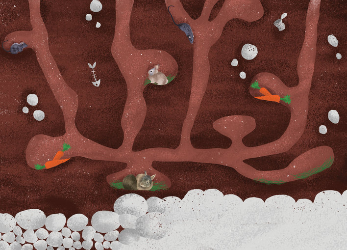 Rabbits and rats in their habitat