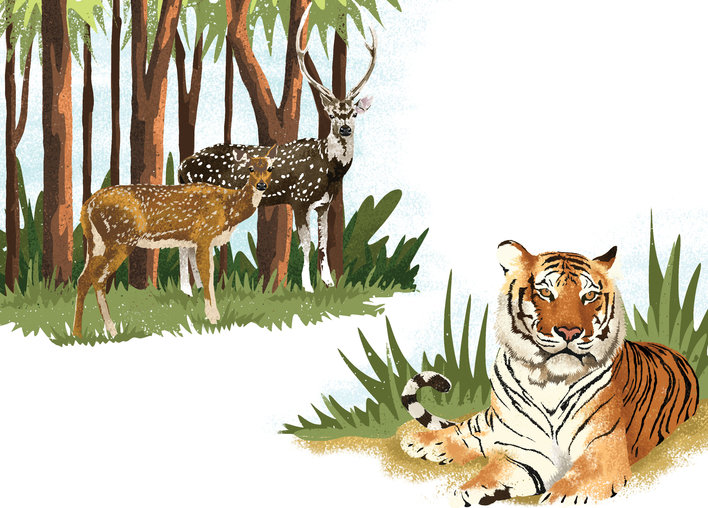 Deer and tigers in a forest