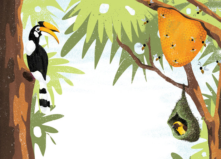 A hornbill and honeybees