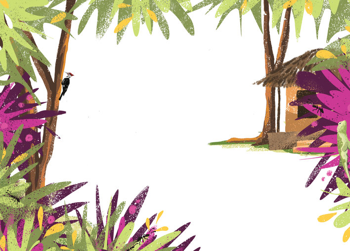 A house in the forest