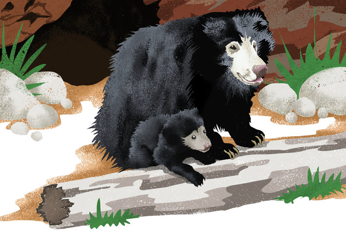 Bears outside a cave