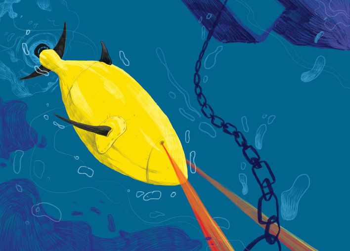 RoboTuna swimming in the water
