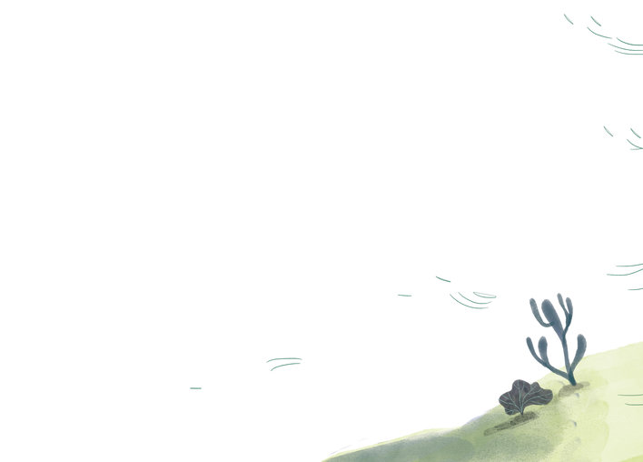 Plants under water