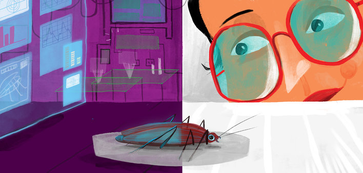 Woman looking at a cockroach closely