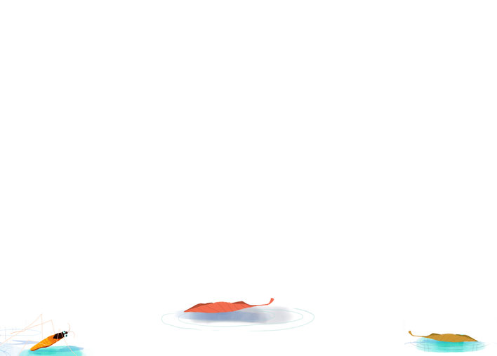 Leaves floating on water