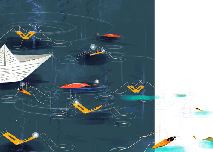Water striders