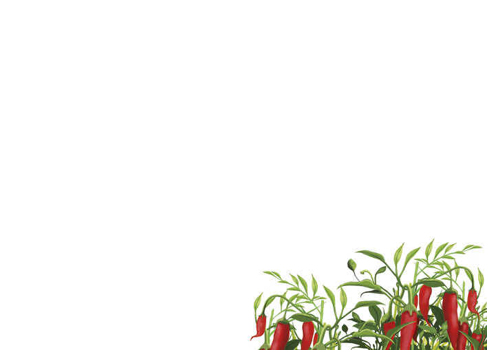 A red chilli plant