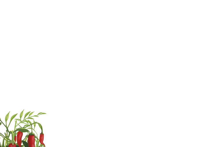 A red chilli plant in the corner