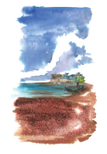 A boat on the shore